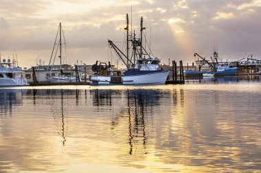 Büyük Balık tutma botu Westport Grays Harbor Washington eyaleti
