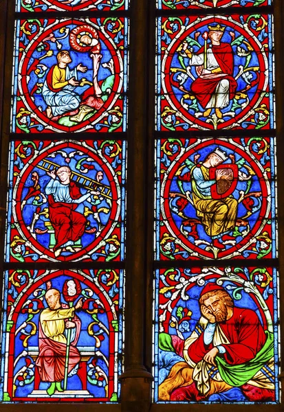 Many Kings Stained Glass Notre Dame Cathedral Paris France — Stock fotografie