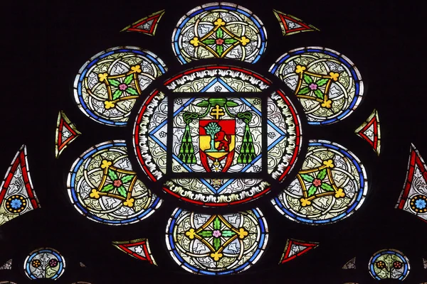 Escudo de Armas Francés Kings Stained Glass Notre Dame Paris Francia —  Fotos de Stock