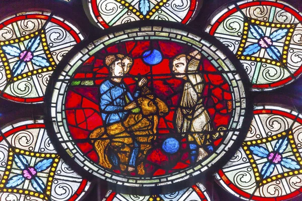 Lost Sheep Parable Jesus Stained Glass Notre Dame Paris France — Stok fotoğraf