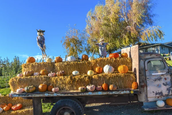 Camion à citrouille épouvantails Blanc Orange Jaune Citrouilles Squash Washington — Photo