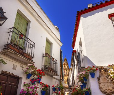 Flower Street Torre del Aliminar Tower Mezquita Cordoba Spain