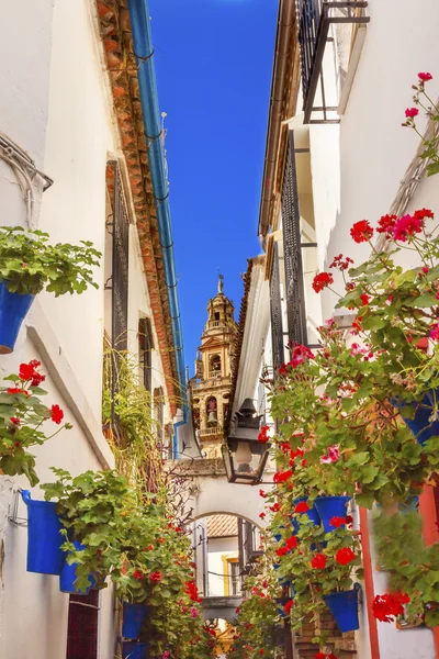 Flower Street Torre del Aliminar Tower Mezquita Cordoba Spain — Stockfoto