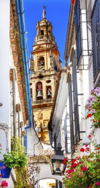 Flower Street Torre del Aliminar Tower Mezquita Cordoba Spain