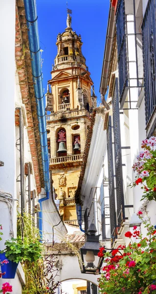 Flower Street Torre del Aliminar Tower Mezquita Cordoba Spain — ストック写真