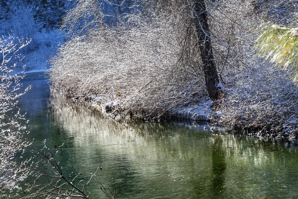 Feuilles d'hiver Neige Glace Rivière Wenatchee Leavenworth Washington — Photo