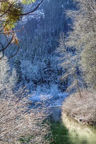 Winter hinterlässt Schnee Eis wenatchee Fluss leavenworth washington — Stockfoto