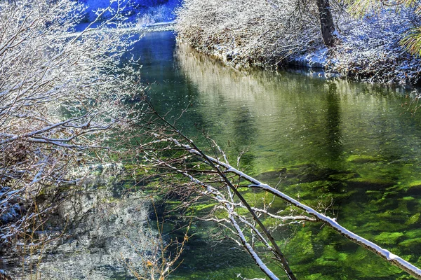 Feuilles d'hiver Neige Glace Rivière Wenatchee Leavenworth Washington — Photo