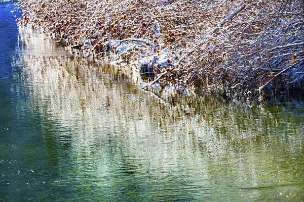 Feuilles d'hiver Glace de neige Résumé Rivière Wenatchee Washington — Photo