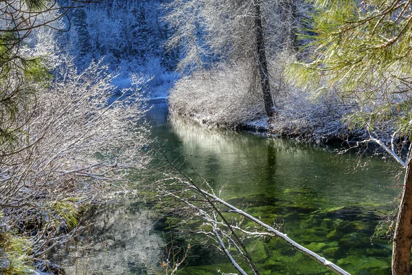 Vintern bladen snö is Wenatchee River Washington — Stockfoto