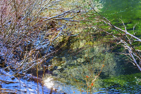 Folhas de Inverno Snow Ice Abstract Wenatchee River Valley Leavenwo — Fotografia de Stock