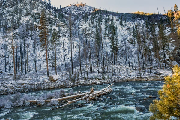 Winter bladeren sneeuw ijs Wenatchee rivier Washington — Stockfoto