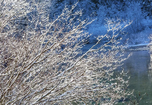 Invierno deja hielo en la nieve Wenatchee River Washington — Foto de Stock