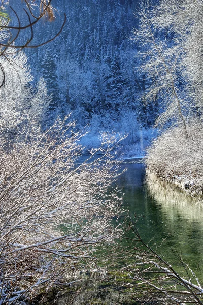 Invierno deja hielo en la nieve Wenatchee River Washington — Foto de Stock