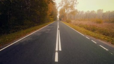 Altın sonbahar gününde gün batımında yol