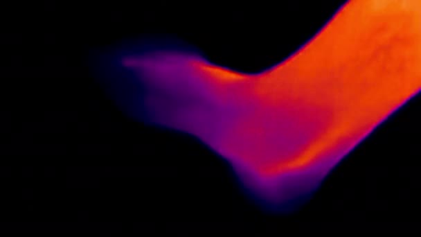 Thermisch beeld van bevriezing van het been. Infrarood, thermisch, nachtzicht — Stockvideo