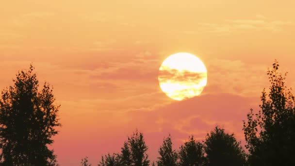 Clouds move at the summer in sunset, real time — Stock Video