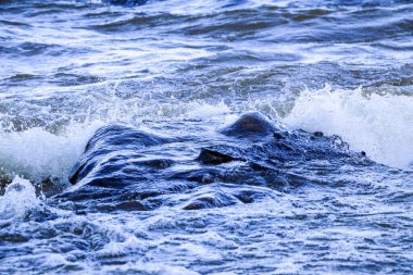Dalgalar kıyıya vurur ve kayalara çarpar. Kıyıya yakın yerlerde bir sürü sıçrama ve sıçrama meydana getirir. Taştan çakıl taşı kıyısında dalgalı köpüklü dalgalarla fırtınalı havada nehir sörfü yapmak..