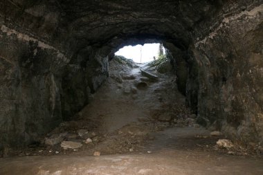 Doğal taş duvarları olan mağaradan çıkıyorlar. Ağaçları ve doğayı aydınlatan dağdan gün ışığına çıkın. Manzaraya bakan doğal tünel. Çerçevelenmiş ağaçlar ve bitkiler....