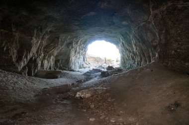 Doğal taş duvarları olan mağaradan çıkıyorlar. Ağaçları ve doğayı aydınlatan dağdan gün ışığına çıkın. Manzaraya bakan doğal tünel. Çerçevelenmiş ağaçlar ve bitkiler....