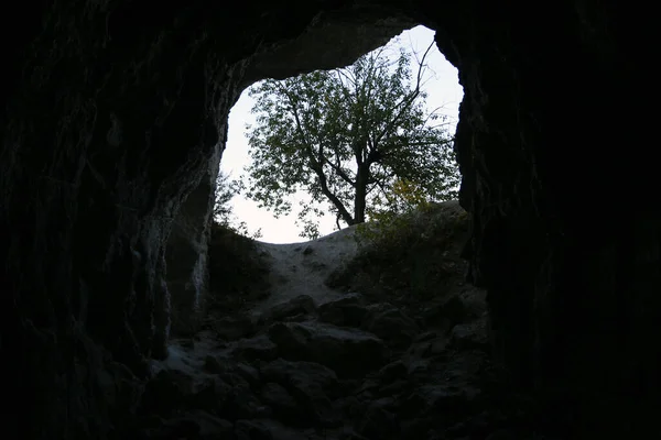Salida Cueva Con Paredes Piedra Natural Salida Montaña Luz Solar —  Fotos de Stock