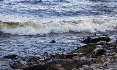 Dalgalar kıyıya vurur ve kayalara çarpar. Kıyıya yakın yerlerde bir sürü sıçrama ve sıçrama meydana getirir. Taştan çakıl taşı kıyısında dalgalı köpüklü dalgalarla fırtınalı havada nehir sörfü yapmak..