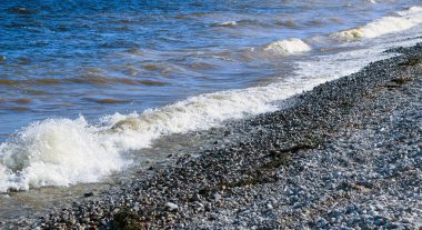 Dalgalar kıyıya doğru koşar ve kayalara çarpar. Kıyıya yakın yerlerde bir sürü sıçrama ve sıçrama meydana getirir. Fırtınalı havada, köpüklü dalgalarla taştan bir çakıl taşı kıyısında sörf yapan nehir..