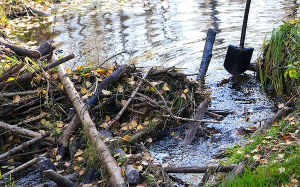 Una Pequeña Presa Castor Hecha Ramas Madera Palos Ramitas Pequeños —  Fotos de Stock