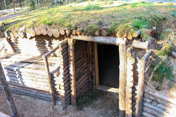 old military dugouts in the forest with trenches lined and reinforced with logs and small dugouts and shelters built from wood materials, logs and planks, underground.
