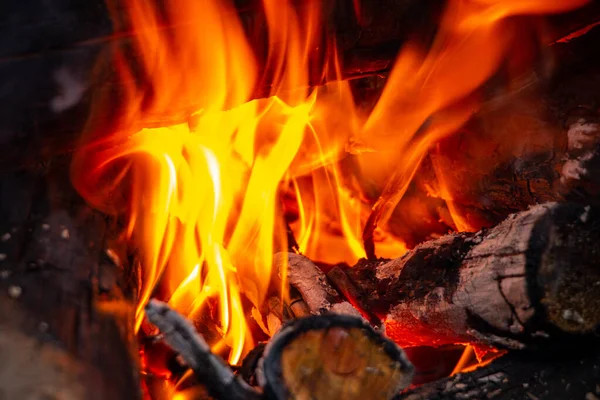 Bonfire Made Pine Sticks Branches Burning Bright Orange Warm Warming — Stock Photo, Image