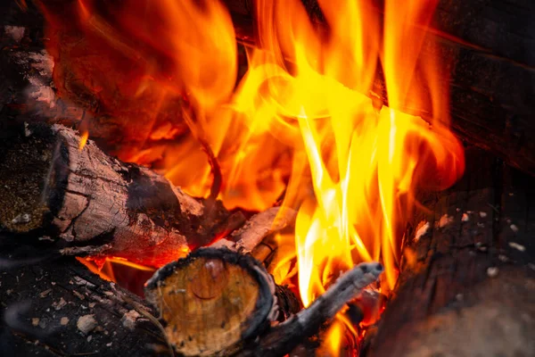 Bonfire Made Pine Sticks Branches Burning Bright Orange Warm Warming — Stock Photo, Image