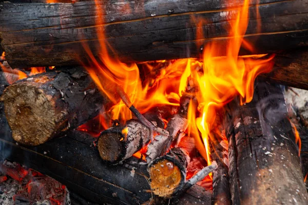 Una Hoguera Hecha Palos Ramas Pino Está Ardiendo Con Una —  Fotos de Stock