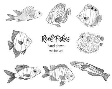 Resif, Sketch Vector İllüstrasyonunu Balıklıyor. El Kaplama Sualtı Hayvanları Seti. Balıkçılık Mağazası, Deniz Ürünleri Tasarımı için Gerçekçi Doğa Elementleri.
