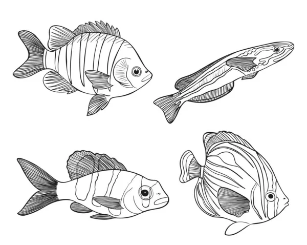 Pesci della barriera corallina Sketch Vector Illustration. Set di animali subacquei disegnati a mano. Elementi realistici della natura per il deposito di pesca, progettazione dei frutti di mare. — Vettoriale Stock