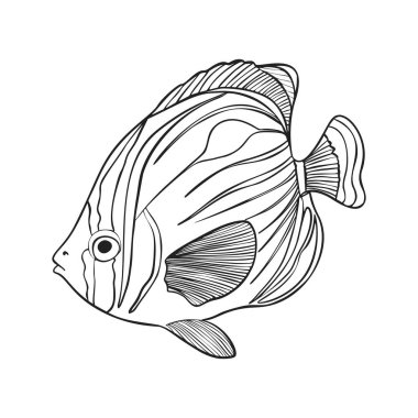 Resif, Sketch Vector İllüstrasyonunu Balıklıyor. El Kaplama Sualtı Hayvanları Seti. Balıkçılık Mağazası, Deniz Ürünleri Tasarımı için Gerçekçi Doğa Elementleri.