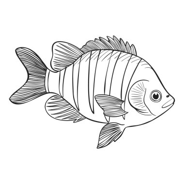 Resif, Sketch Vector İllüstrasyonunu Balıklıyor. El Kaplama Sualtı Hayvanları Seti. Balıkçılık Mağazası, Deniz Ürünleri Tasarımı için Gerçekçi Doğa Elementleri.