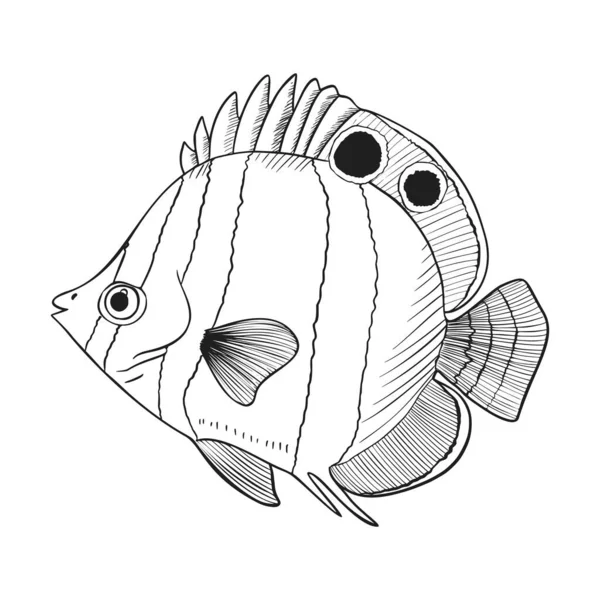 Pesci della barriera corallina Sketch Vector Illustration. Set di animali subacquei disegnati a mano. Elementi realistici della natura per il deposito di pesca, progettazione dei frutti di mare. — Vettoriale Stock