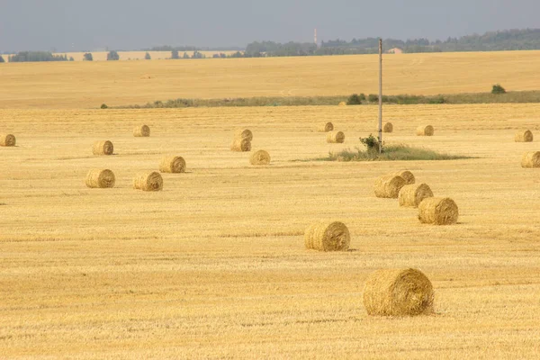 Складки в летнем поле. Средне-кипящая и осенняя сельская сцена с тюками сена и небом. — стоковое фото