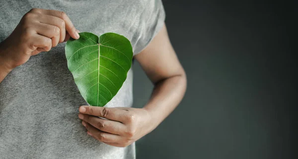 Energia Verde Risorse Rinnovabili Sostenibili Concetto Cura Ambientale Ecologia Primo — Foto Stock