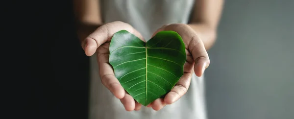 グリーンエネルギー Esg 再生可能エネルギー 持続可能な資源 生態ケアの概念 ハート型の緑の葉を持つ手を閉じる — ストック写真