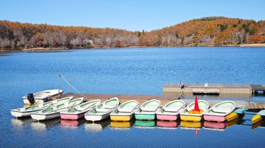 Sakin göl renkli sonbahar ağaçlarıyla çevrili, huzurlu ve güzel mevsimleri yansıtıyor.