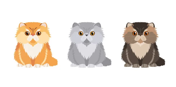 Conjunto Ilustraciones Tres Gatos Persas Diferentes Colores Colección Gatos Vectores — Vector de stock