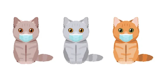 Gatos Domésticos Con Máscaras Médicas Conjunto Ilustraciones Tres Gatos Británicos — Vector de stock