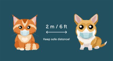 İki metre ya da altı adım uzakta dur. Coronavirus enfeksiyonu tıbbi maskeli pembroke welsh corgi ve maine coon ile önleme bilgi işareti yayıyor. Çocuklar için vektör illüstrasyonu