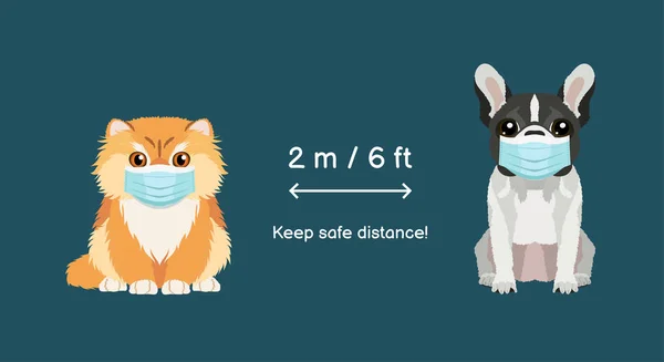 保持两米或六尺的安全距离 波斯猫和法国斗牛犬戴着保护膜 带养宠物的传病病毒传播预防信息标志 — 图库矢量图片