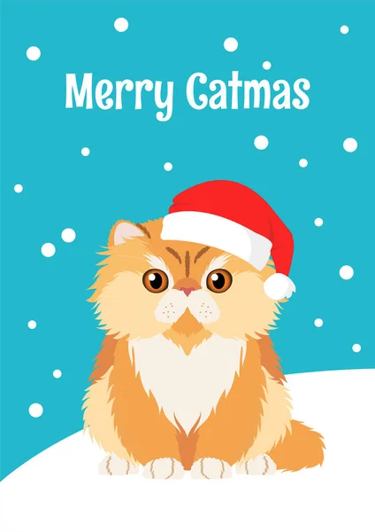 Tarjeta Navidad Con Gato Persa Sombrero Santa Inscripción Merry Catmas Ilustración De Stock