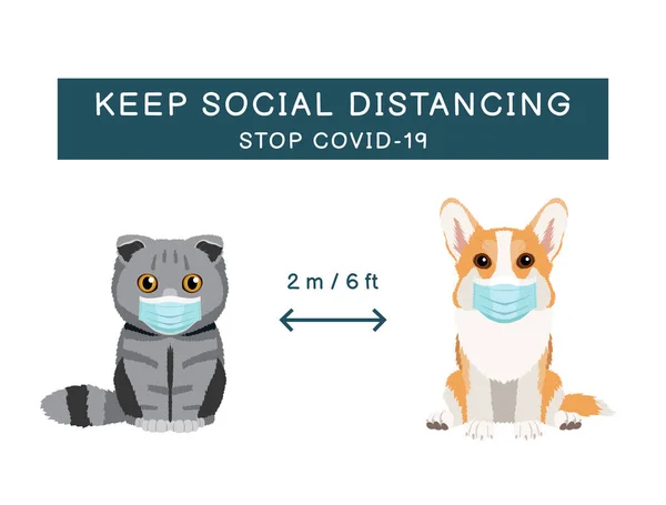 Coronavirus Enfeksiyonu Tıbbi Maske Takan Evcil Hayvanlara Önleyici Bilgi Işareti — Stok Vektör
