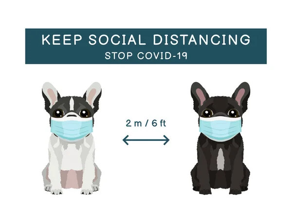 Infección Por Coronavirus Propagando Signo Información Prevención Con Mascotas Que Ilustraciones De Stock Sin Royalties Gratis