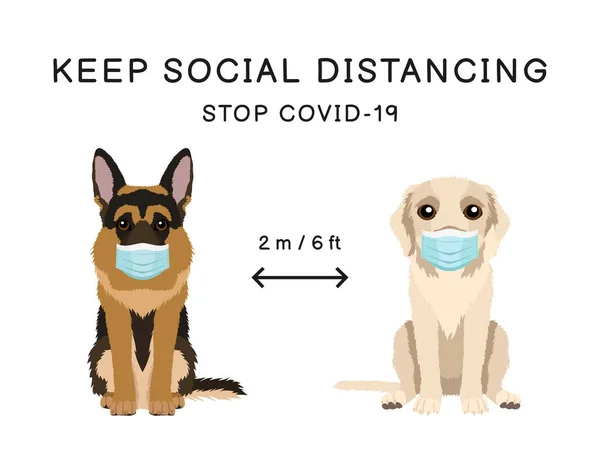 Infección Por Coronavirus Propagando Signo Información Prevención Con Mascotas Que Ilustración De Stock