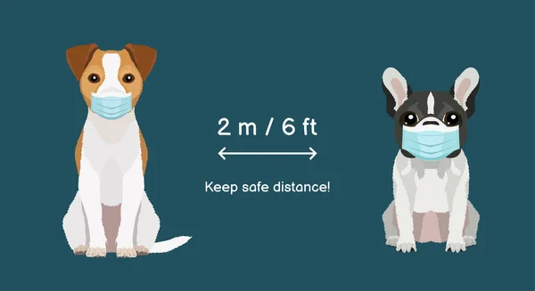 Mantenha Distância Segura Dois Metros Seis Pés Jack Russel Terrier —  Vetores de Stock